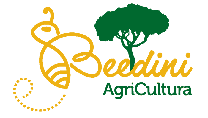 Beedini logo – no sfondo – piccolo